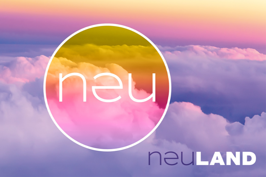 NEULAND